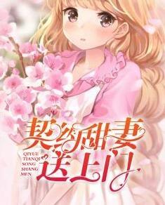 葉辰沈傲雪小說(shuō)全文免費(fèi)閱讀聽書封面