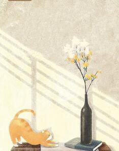 安紫萱婁璟宸封面