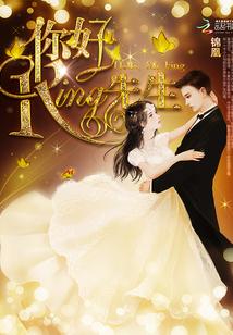 你好,King先生封面