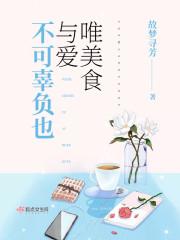 魔法縱橫家封面