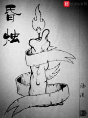 推薦小說(shuō) 羅賓肖雨笛封面