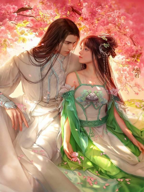 醫(yī)學天才穿越洛蘭的小說封面