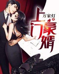 王銳衛(wèi)清怡小說封面