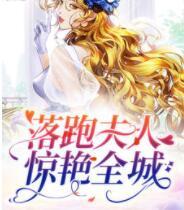 顧傾城京瀾辰小說(shuō)免費(fèi)閱讀封面
