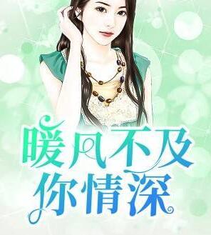 暖風(fēng)不及你情深封面