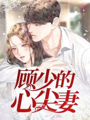 沈云喬顧晏清封面