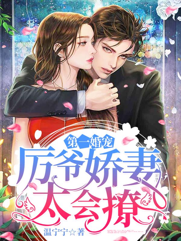 溫寧厲北琛封面
