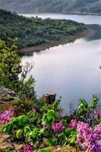 金玉不知緣姜淮月小說(shuō)免費(fèi)封面