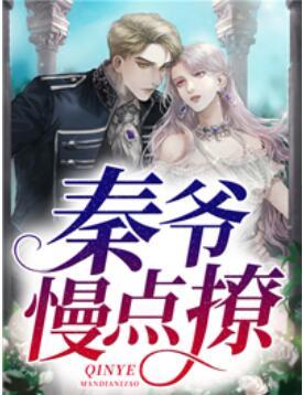 秦爺,慢點(diǎn)撩封面