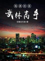 宋枝清江玖封面