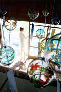 鳳熙璃墨九重天封面