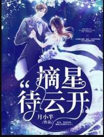 摘星待云開(kāi)封面