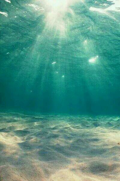 衛(wèi)昊陽伏彤抖音小說封面