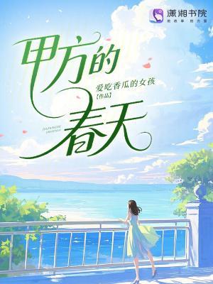 甲方的春天封面