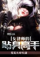 蘇鸞月景墨小說封面