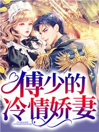 傅少欽沈湘小說(shuō)封面