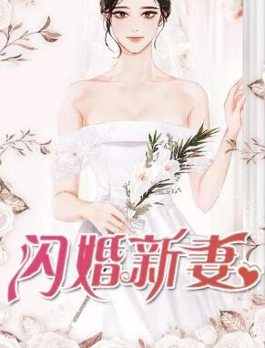 閃婚新妻封面