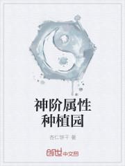 羅峰顧雪念小說(shuō)免費(fèi)閱讀封面