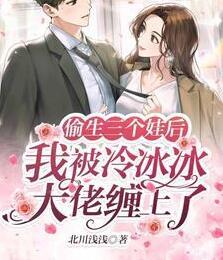 皇甫修閻葉晚晚的小說封面