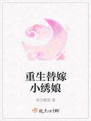 重生替嫁小繡娘封面
