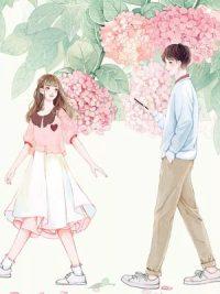 許你一世煙火封面