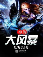 神能大風(fēng)暴封面