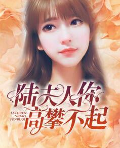 離婚后夫人不裝了封面