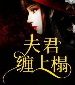 慕辭江君堯全文封面