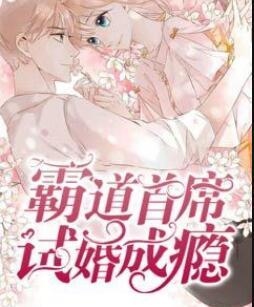 精選小說凌恩曼辛驍然封面