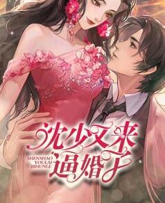 沈少又來逼婚了封面