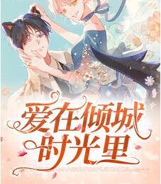 愛(ài)在傾城時(shí)光里封面