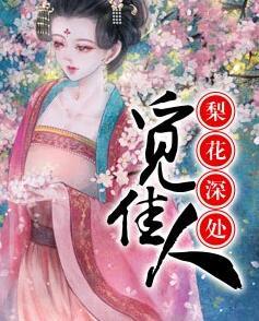 梨花深處覓佳人小說封面