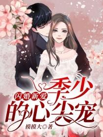 甜寵閃婚新妻小說封面
