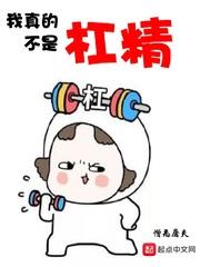 我真的不是杠精封面