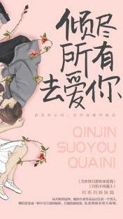 今夜星辰似你小說封面